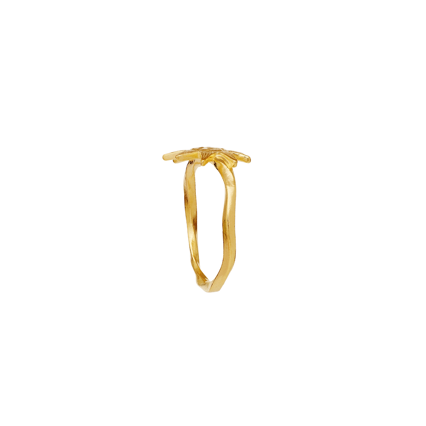 Sonja Ring