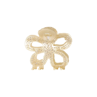 Fiore Hairclaw Pear Sorbet