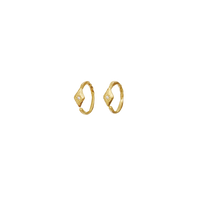 Forte Earrings