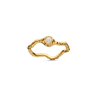 Lisa Ring