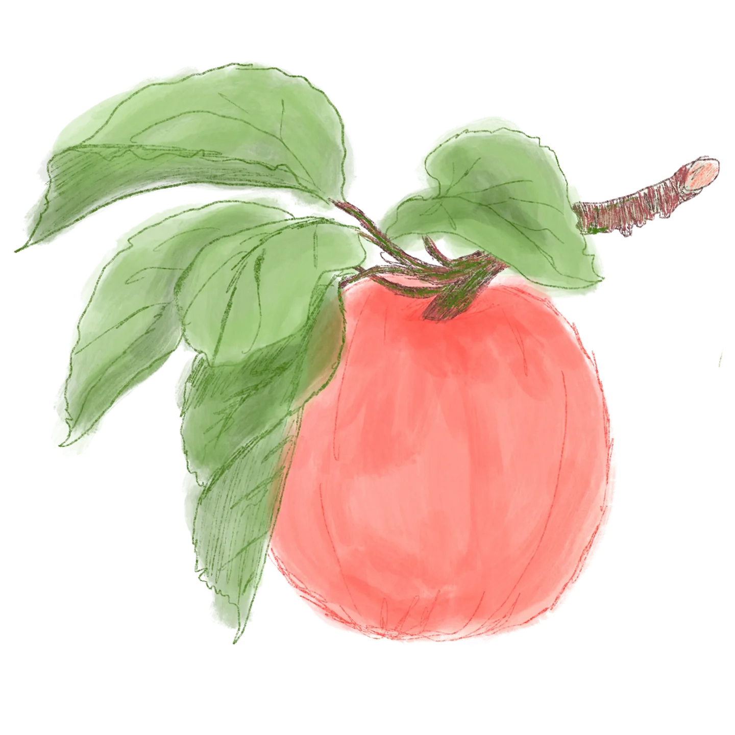 Swan Hairclaw Rainbow