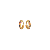 Nubia Color Earrings